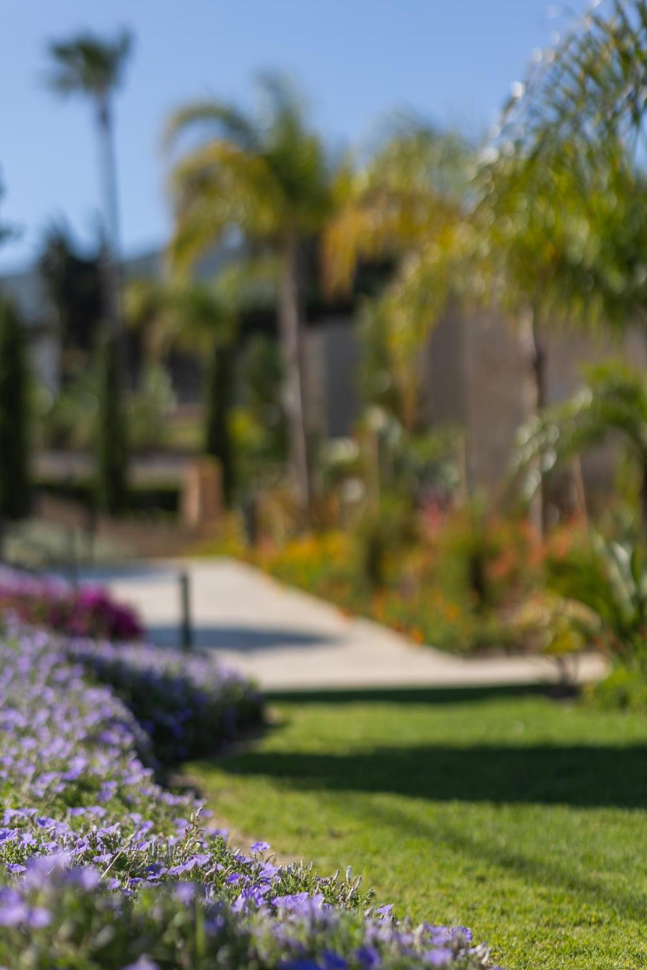 Maravilla Luxury Living بلدة كوس المظهر الخارجي الصورة